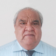 Hugo Sánchez Carlessi